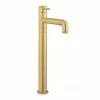 Crosswater MPRO Industrial Tall Monobloc Basin Mixer - Unlacquered Brushed Brass - PRI112DNUB